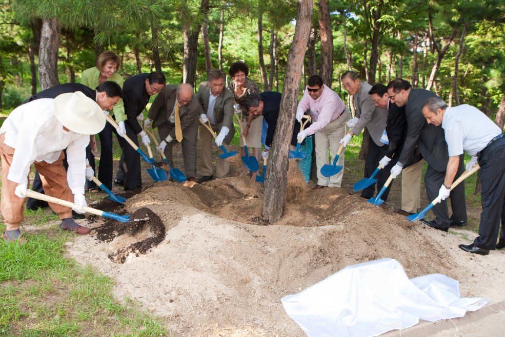 Visiting South Korea once again brings back so many wonderful memories. Sharing a few photographs from from my last two visits a little journey down memory lane to moments, places, and experiences that still remain close to the heart.